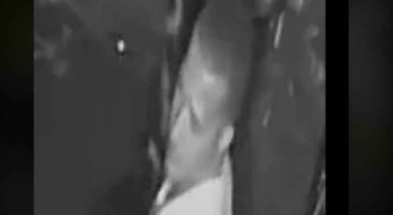 westland suspect westland suspect